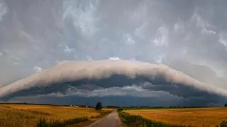 Wał szelfowy nieopodla Puław