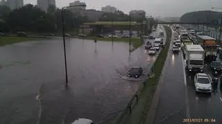 warszawa9 kontakt24 Ratte84.jpg