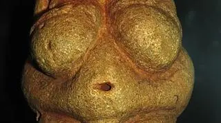 Wenus z Willendorfu jest modelowym przykładem tzw. Wenus paleolitycznej (Wikipedia/CC-BY/Don Hitchcock)