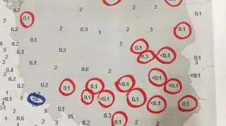 Widoczność w Polsce