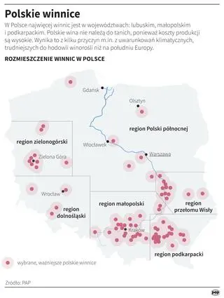 Winnice w Polsce