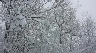 Wiosenny atak zimy na Dolnym Śląsku
