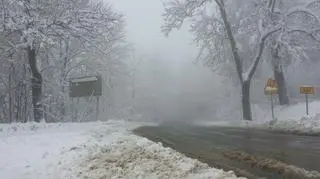 Wiosenny atak zimy na Dolnym Śląsku