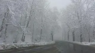 Wiosenny atak zimy na Dolnym Śląsku