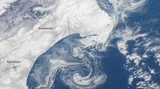 Wiry z kry lodowej u wybrzeży Kamczatki (NASA)