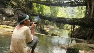 Wiszący most Meghalaya Indie