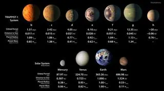 Wizja artystyczna nowego systemu (NASA)