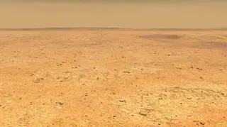 Wizja artystyczna równiny Elysium Planitia (NASA)