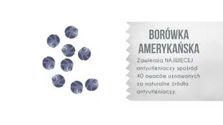 Właściwości borówek amerykańskich