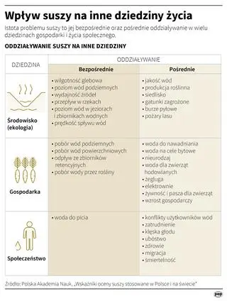Wpływ suszy na różne dziedziny życia (Adam Ziemienowicz/PAP)