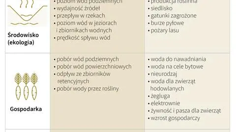 Plaga pożarów, obawy o plony i wzrost cen. Susza w Polsce osiąga krytyczny poziom