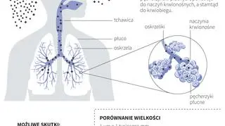 Wpływ zanieczyszczeń powietrza na zdrowie