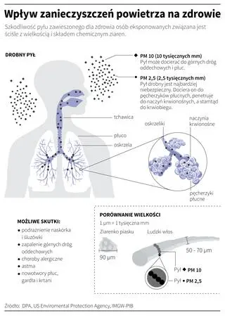 Wpływ zanieczyszczeń powietrza na zdrowie (Maria Samczuk, Adam Ziemienowicz/PAP)