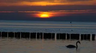 Wschód słońca w Trójmieście