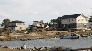 Wschodnie wybrzeże Japonii po przejściu tsunami (Kontakt24/Cezary)
