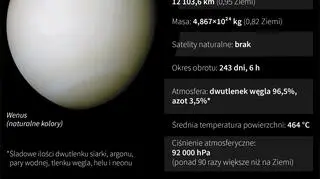 Wszystko, co trzeba wiedzieć o Wenus (Maciej Zieliński, Adam Ziemienowicz/PAP)