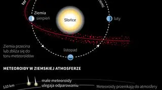 Wszystko o tegorocznych Perseidach (Maciej Zieliński/PAP/DPA)