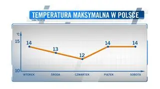 Wykres temperatury maksymalnej dla pięciu kolejnych dni