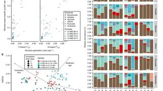 Wykresy charakterystyki wzrostu mikroorganizmów obliczone na podstawie biomasy (Yuki Morono, Motoo Ito, Tatsuhiko Hoshino, Takeshi Terada, Tomoyuki Hori, Minoru Ikehara, Steven D’Hondt, Fumio Inagaki)