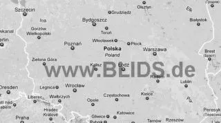 Wyładowania atmosferyczne na terenie Polski w godz. 14.00 - 16.00 (blids.de)