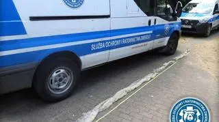 Wylinka węża nad Wisłą (Animal Rescue Polska/Służba Ochrony i Ratownictwa Zwierząt)