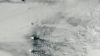Wyspy archipelagu Sandwich Południowy widziane 7 marca 2013 roku (NASA)
