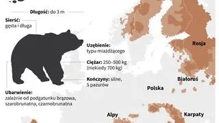 Występowanie niedźwiedzia brunatnego (Maciej Zieliński/PAP)