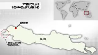Występowanie nosorożca jawajskiego (TVN Meteo)