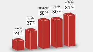 Z dnia na dzień będzie coraz cieplej