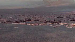 Zachodnia część krateru Endeavour na Marsie (fałszywe kolory) /NASA