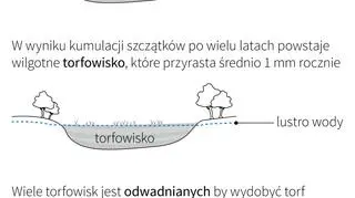 Zagrożenie pożarowe na torfowiskach (Maciej Zieliński/PAP)