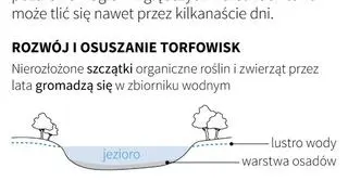 Zagrożenie pożarowe na torfowiskach (Maciej Zieliński/PAP)