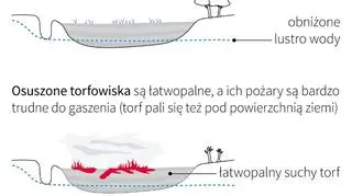 Zagrożenie pożarowe na torfowiskach (Maciej Zieliński/PAP)