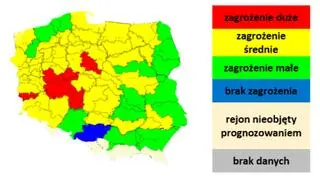 Zagrożenie pożarowe w polskich lasach według Instytutu Badawczego Leśnictwa (mapa: Rządowe Centrum Bezpieczeństwa)