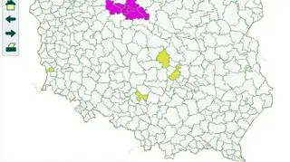 Zakazy wstępu do lasu, 24.08 / lasy.gov.pl