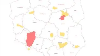 Zakazy wstępu do lasu