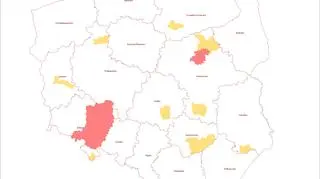 Zakazy wstępu do lasu