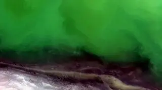Zakwit glonów na Morzu Kaspijskim
