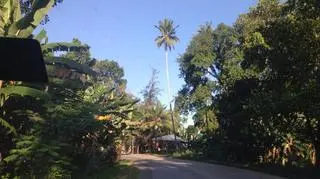 Zanzibar oczami Omeny