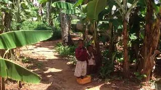 Zanzibar oczami Omeny