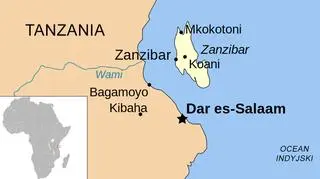Zanzibar to wyspa na Oceanie Indyjskim, która w całości należy do Tanzanii