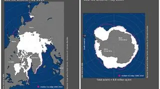 Zasięg lodu morskiego w maju 2019 roku (NOAA)