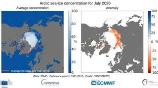 Zasięg pokrywy lodowej w lipcu 2020 (Copernicus Climate Change Service/ECMWF)