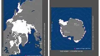 Zasięg pokrywy lodowej w lutym 2020 (NOAA)