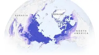 Zasięg wiecznej zmarzliny (Nasa Earth Observatory)