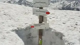 Zaśnieżony górski drogowskaz
