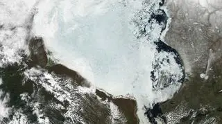 Zatoka Hudsona i okolice, oryginalny widok satelitarny z czerwca (NASA)