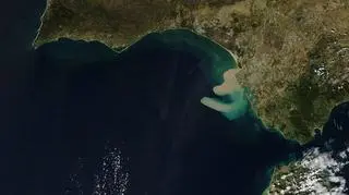 Zatoka Kadyksu 12 listopada 2012 r. (earthobservatory.nasa.gov)