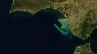 Zatoka Kadyksu 13 listopada 2012 r. (earthobservatory.nasa.gov)