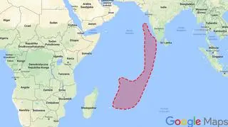 Zaznaczony obszar to miejsce występowania Mauritii